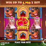 best-casino-games-to-play-online_1.png