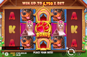 best-casino-games-to-play-online_1.png