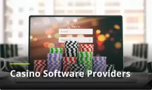 online-casino-software-providers-explained_1.webp