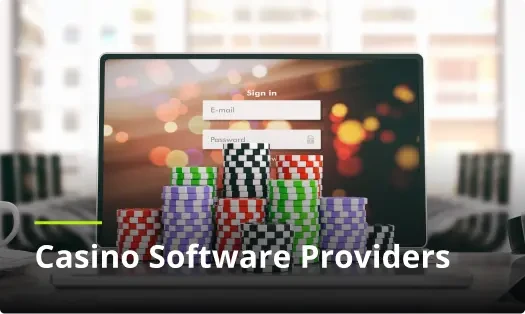 online-casino-software-providers-explained_1.webp